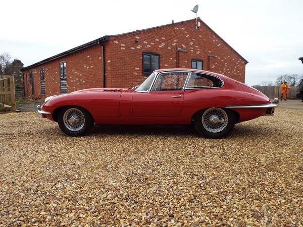 Image Placeholders2_edited.jpg