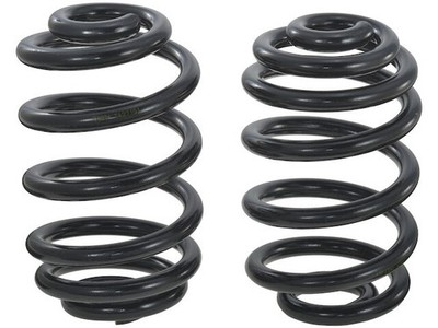 Rear API PEC Coil Spring Set fits BMW X3 2004-2010 3.0L 6 Cyl 27DVWW