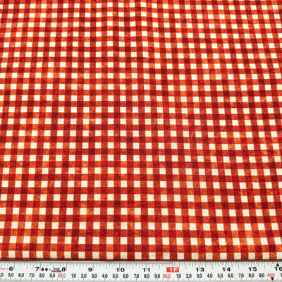 Fresh Catch by Deborah Edwards Northcott Burnt Orange Cotton by the HALF YARD