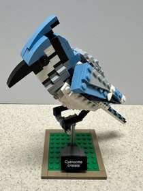 LEGO Ideas: Birds (21301) All Build Parts for this Build and Display Set