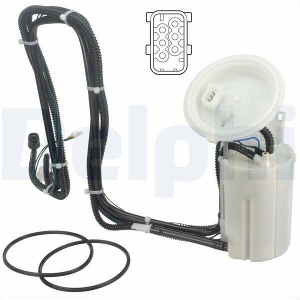 Delphi Kraftstoffpumpe FöRdereinheit FG1239-12B1 FüR BMW E63 E60 E61 E64 5Er 6Er-image