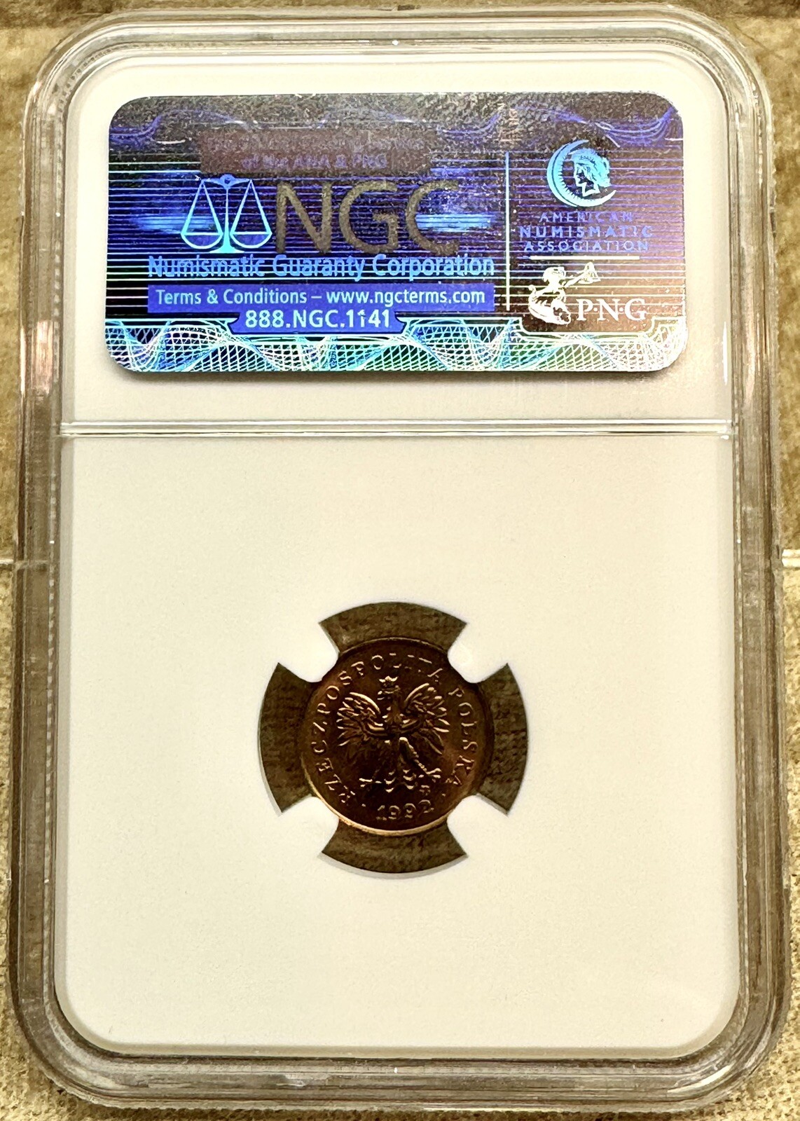 Picture 5 of 5