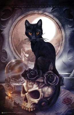 Grimelkin's Ghost Alchemy Mini Poster - 11 x 17 in.