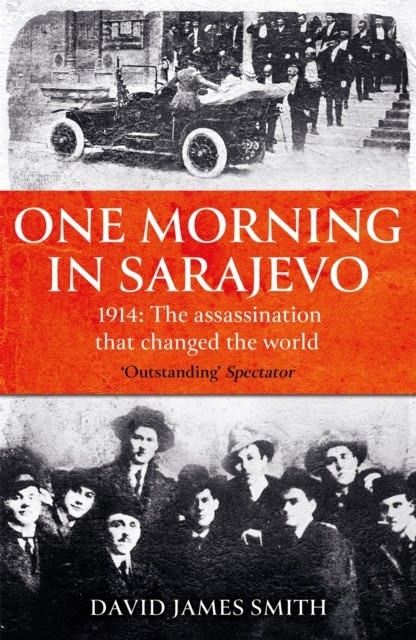 One Morning In Sarajevo by David James Smith (Paperback Book)