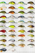 Strike King Pro-model 6 Xd Crankbaits Neon Bluegill 6 Xd Strike King Pro-model 6 Xd Crankbaits Neon Bluegill 6 Xd