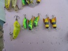 6 Small Rebel Lures Primo, 2 Fire Bug,2 Bumble Bug, 2 1/4 In Frog,Crickhopper