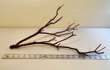 Red Skin Manzanita Wood, Driftwood, Reptile Tank Decor, Aquarium, Terrarium
