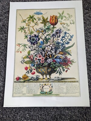 Vintage 12 Months of Flowers Winterthur Museum February Print 14