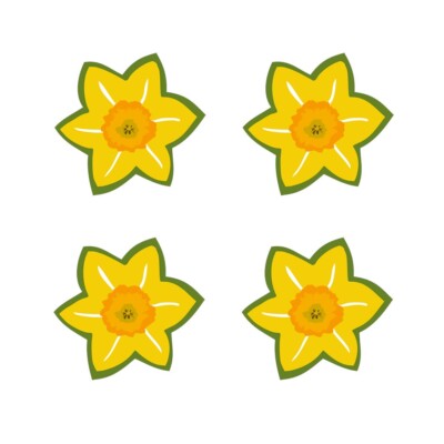 4 x Narzisse Aufbügeln Transfer für Stoffe Wales / Walsh Nationalblume