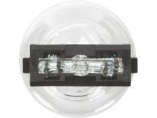 Wagner 64SG99K Tail Light Bulb Fits 1988-2004, 2015-2018 Ford F150
