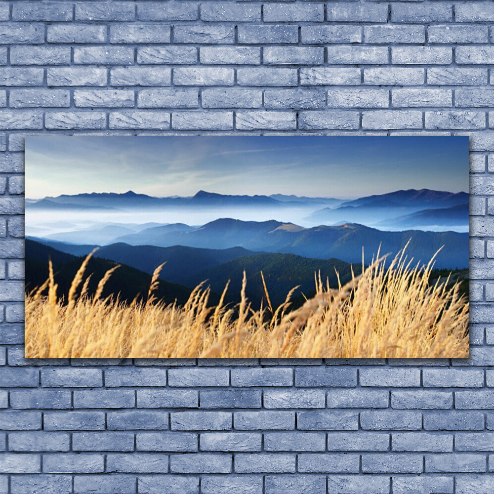 Tableau Plexiglas 140x70 Paysage Champ pour illuminer un salon sombre sans travaux
