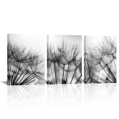3 Pieces Black and White Dandelion Wall Art Close-up Dewdrop on Floral Pictur...