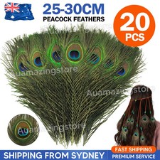 20pcs 25-30cm Natural Genuine Peacock Eye Feathers Vase Home Decor DIY Craft