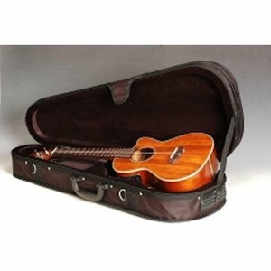 kala concert ukulele case