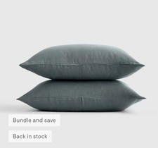 NWOT Quince King Linen Pillowcases Set 2 Ocean