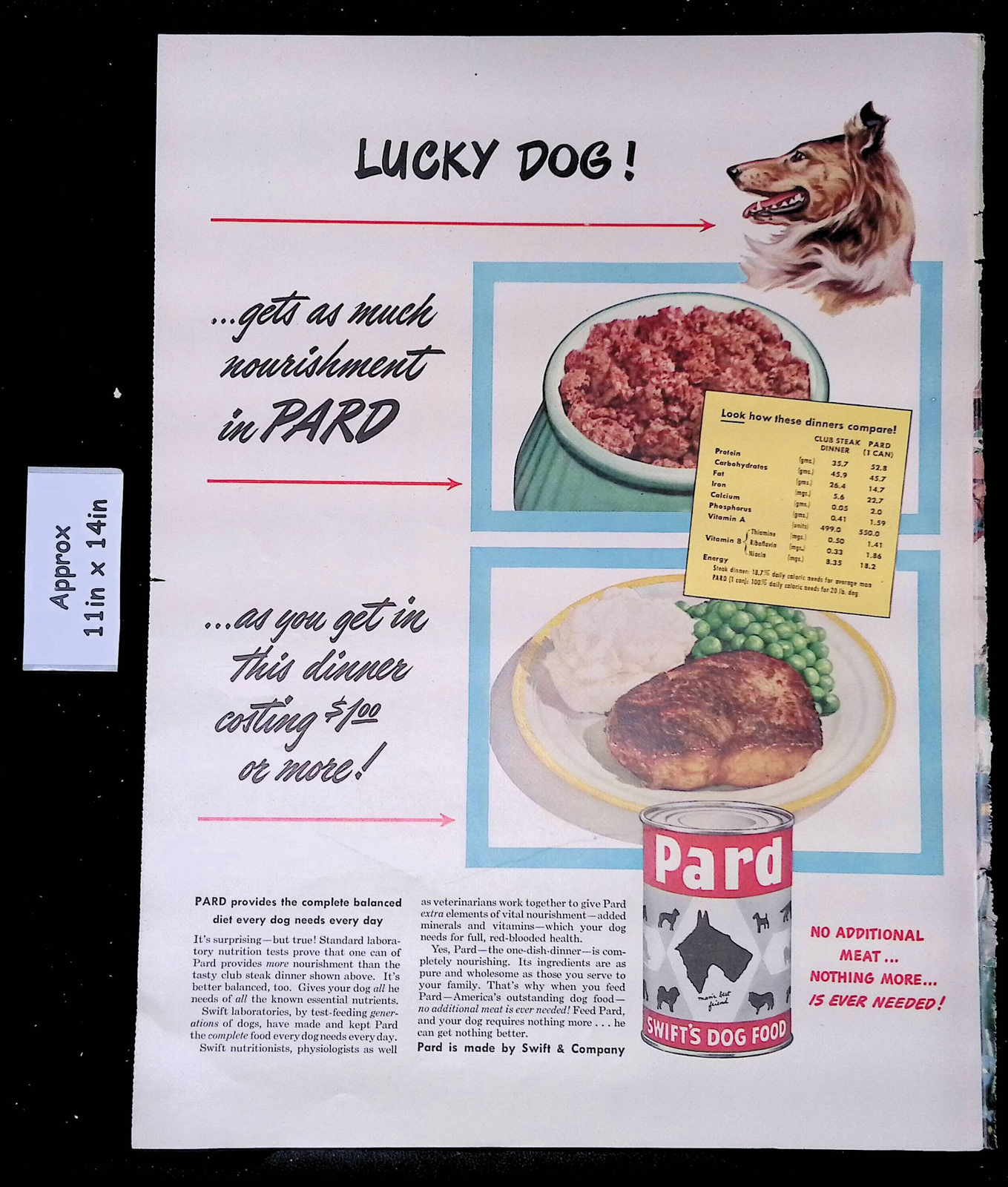 Much Nurishment Collie Lucky Dog!  Print Ad 46177