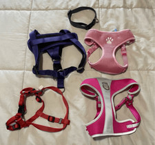 Bundle of four dog harnesses and a collar