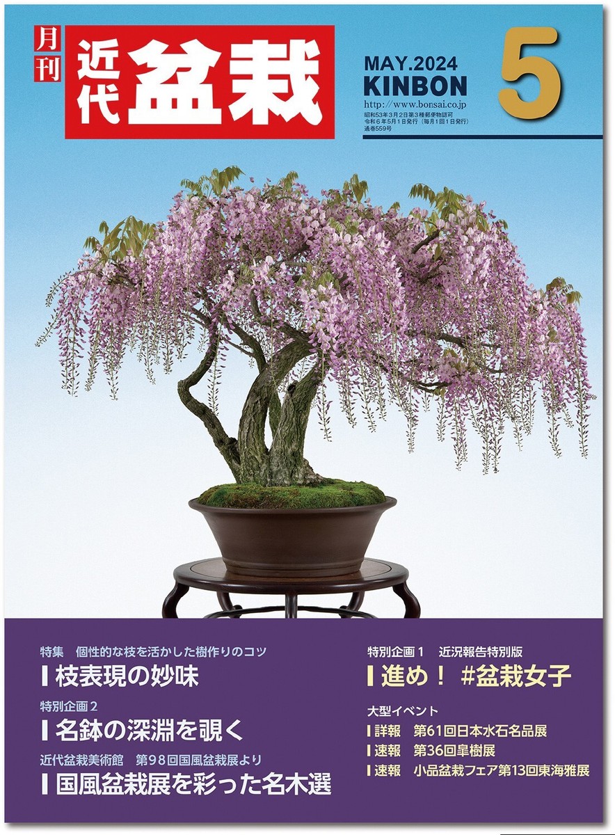 Japanese Bonsai Magazine KINBON 2024.5 Kindai Bonsai | eBay