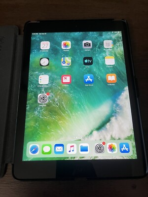 Apple iPad Air 2 32GB, Wi-Fi + Cellular, 9.7in -Gray, Speck Case, Bundle