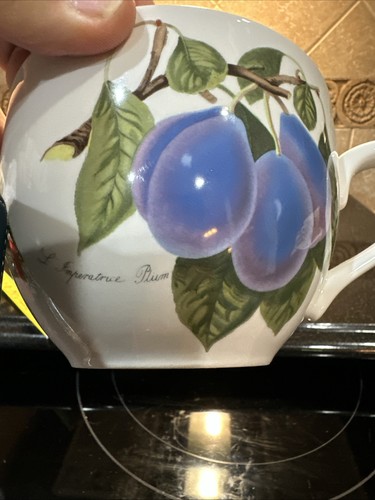 portmeirion pomona the Imperatruce Plum large cappuccino / soup cup and saucer - Picture 8 of 8