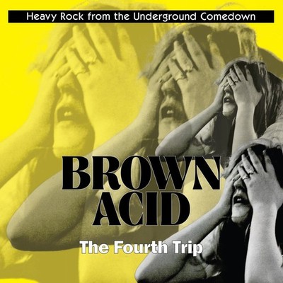 Various Artists Brown Acid: The Fourth Trip (CD) Album