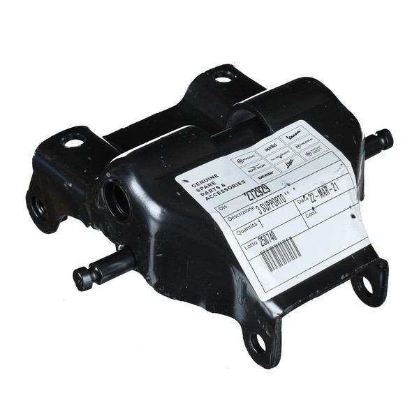 Piaggio Schwingarm F. HauptstäNder (FüR: Piaggio Free 50 FCS1T 93-95 )-image