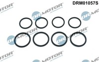 Dichtring, Kerzenschacht Dr.Motor Automotive DRM01057S FüR BMW