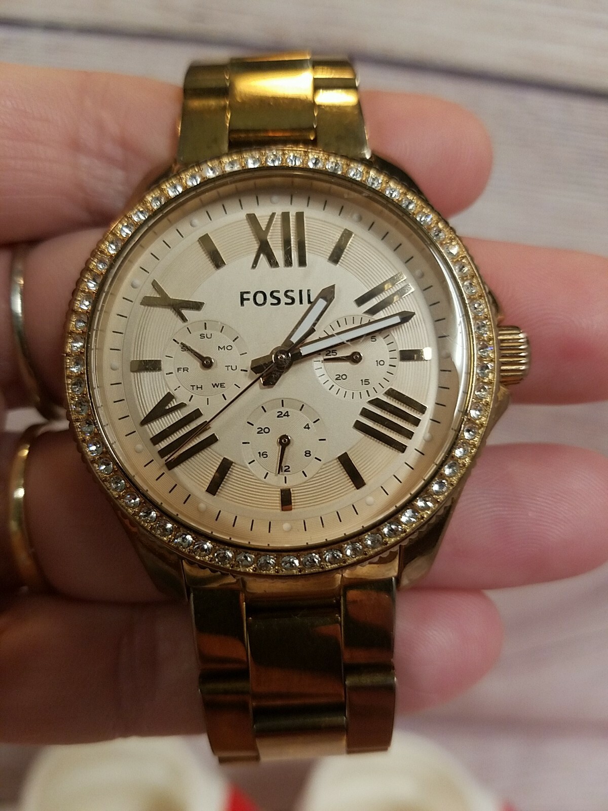 fossil cecile am4483