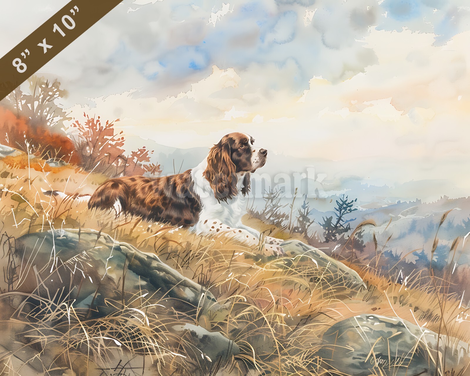 English Springer Spaniel watercolor painting by a peacef 8x10 Print