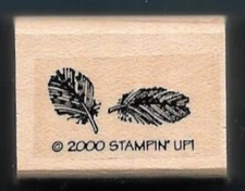 DOWNY SOFT FEATHER Wildlife BIRDS NATURE LIFE Stampin' Up! wood RUBBER STAMP