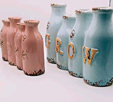 Propagation Station Pair of Vases Decorative Ceramic Plant Vases Blue  Pink