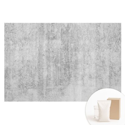 Non Woven Wallpaper Wall Mural Raw Gray Structure In A Minimalist Style