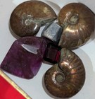 Lot Of Natural Gems, Old Treasures: Ruby, Ammolite, Chert, Garnet, Sapphire — photo 2