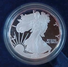 Toned 2005 AMERICAN SILVER EAGLE UNC PROOF COIN COA BOX RARE WEST POINT MINT