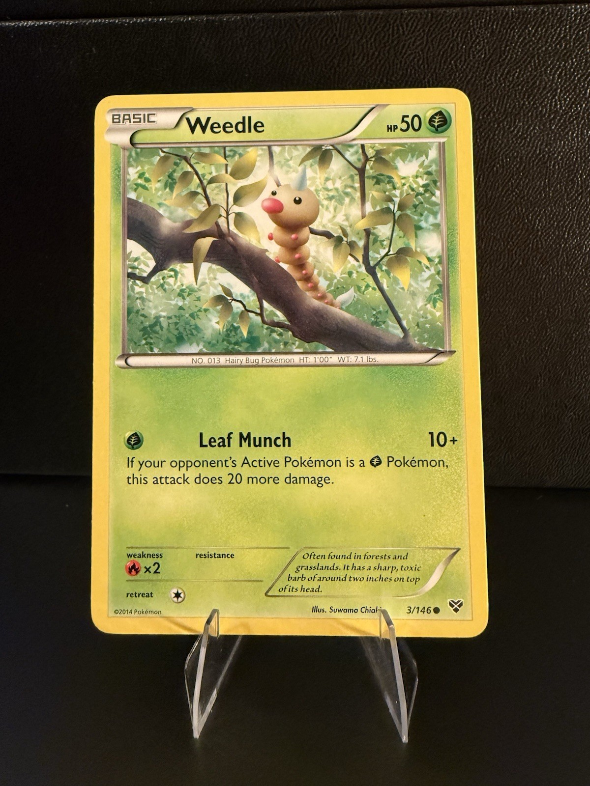 Weedle 3/146 Common XY Base Pokemon TCG MP