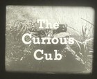 16mm Film: Curious Cub, Stop Motion Animation, B&W — photo 4