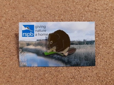 RSPB WATER VOLE SPECIAL GNAH Charity Pin Badge