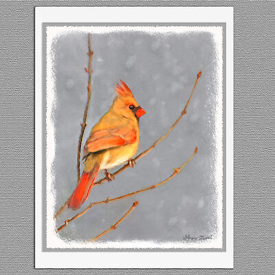 8x8 CARDINAL Bird Wildlife Nature Signed Art PRINT of Original Oil Painting VERN
