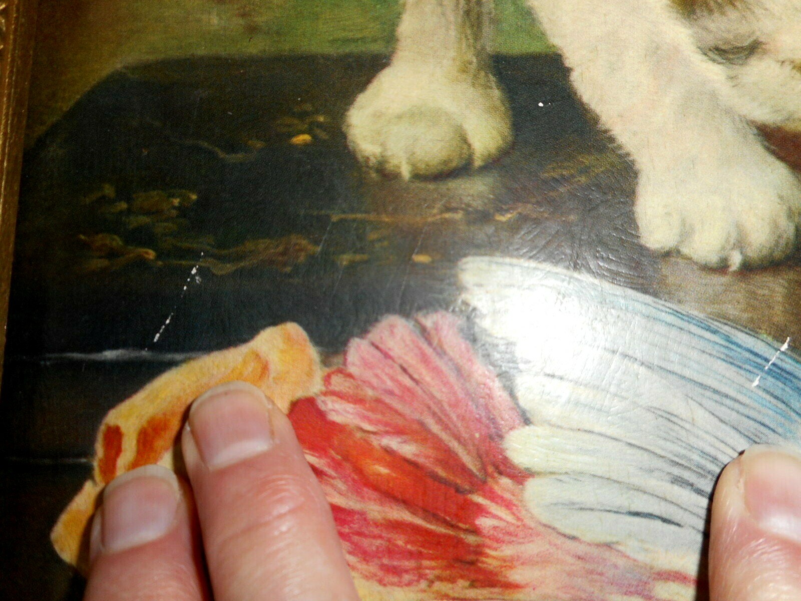 Foto 3 di 12