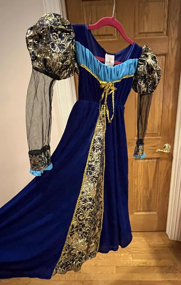 Rubies Girls Camelot Princess Velour Full-length Dress Halloween costume size M - Image 2 of 3