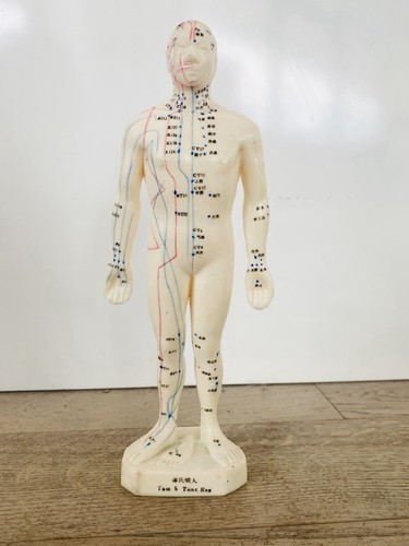 Vintage Tam’s Tong Ren Medical Rubber Acupuncture Practice Doll Figure 10.5”
