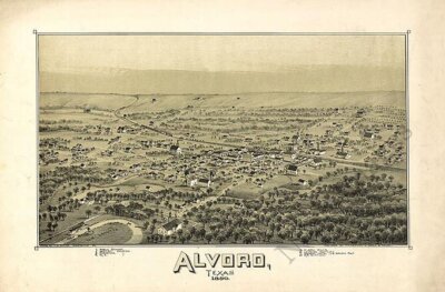 Panoramic Map of Alvord Texas 16x20