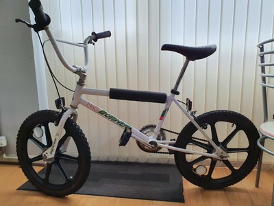 raleigh mag burner
