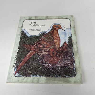 Birth: A Guide for Prayer (Take - Paperback, by Bergan Jacqueline Pbk 1985