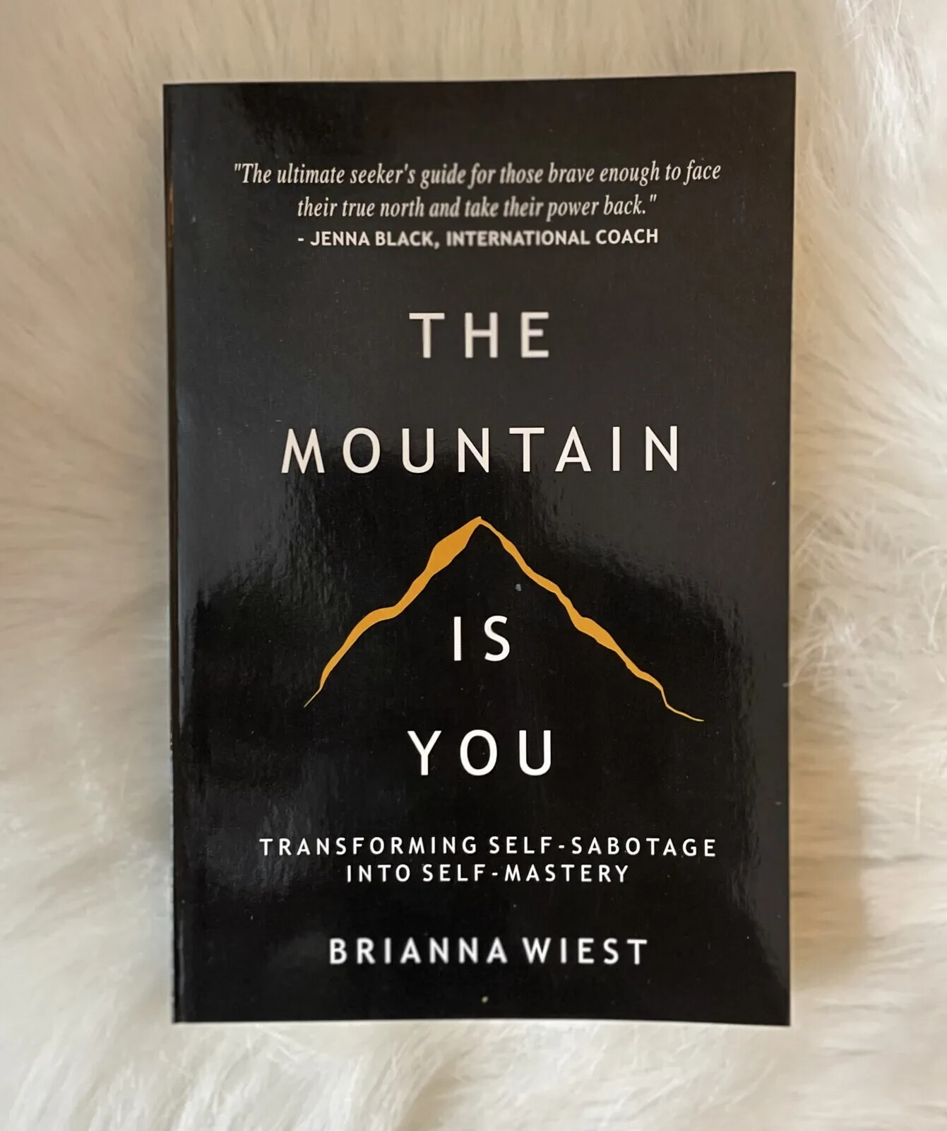 THE MOUNTAIN IS YOU BY BRIANNA WIEST