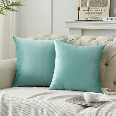 Throw Pillow Covers Velvet Decorative Square 20x20 Inch(Pack of