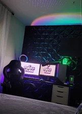 Complete Streamer SetUp 1 PC 2 Monitor, Camera,mic 