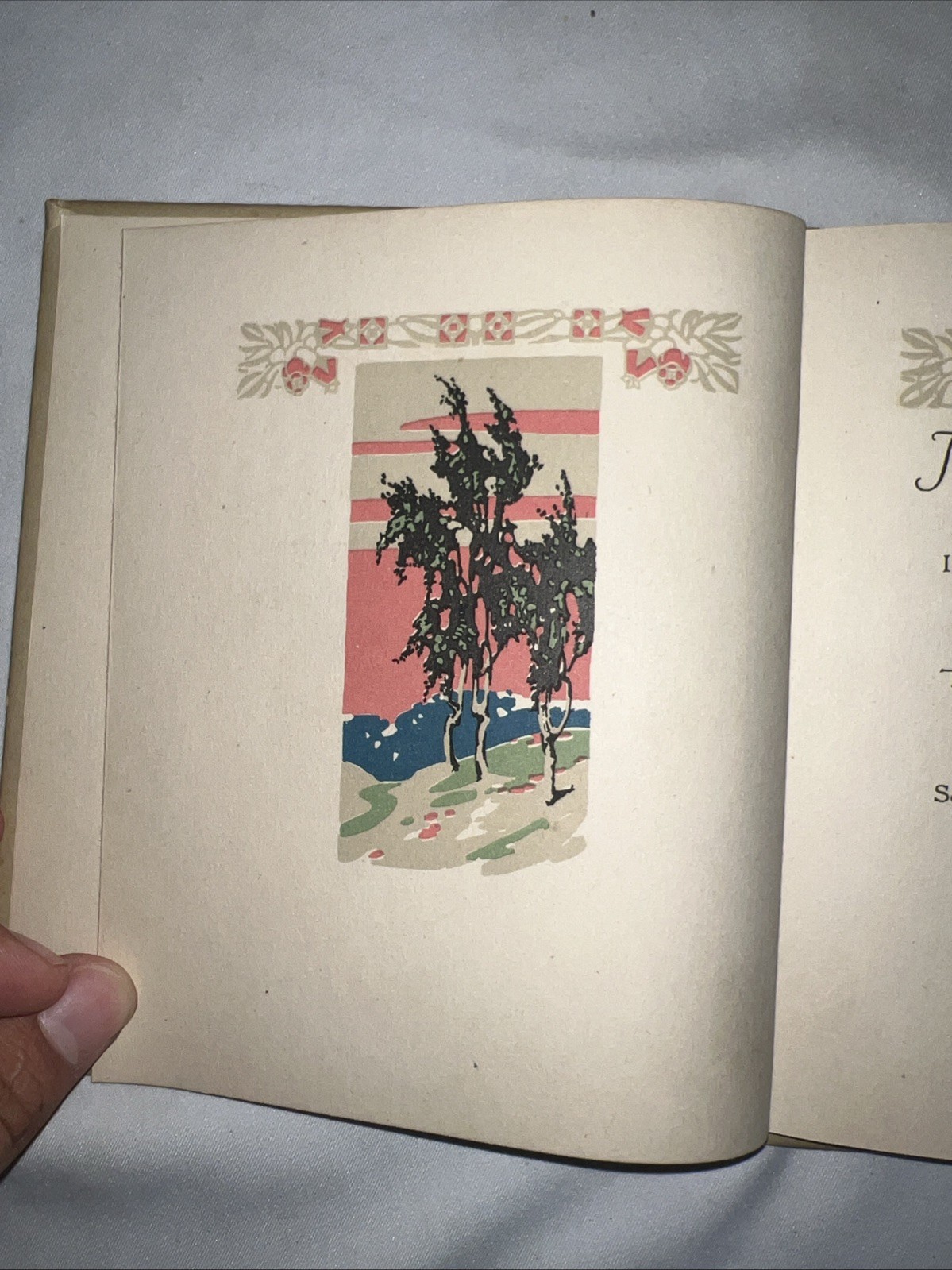 Foto 7 di 14