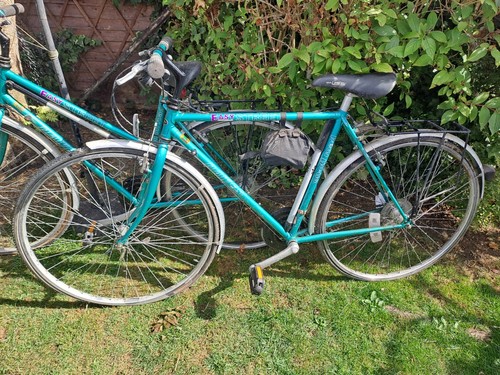 A pair of vintage Dawes Easy Street bicycles, one cross bar, one step through - Picture 2 of 5