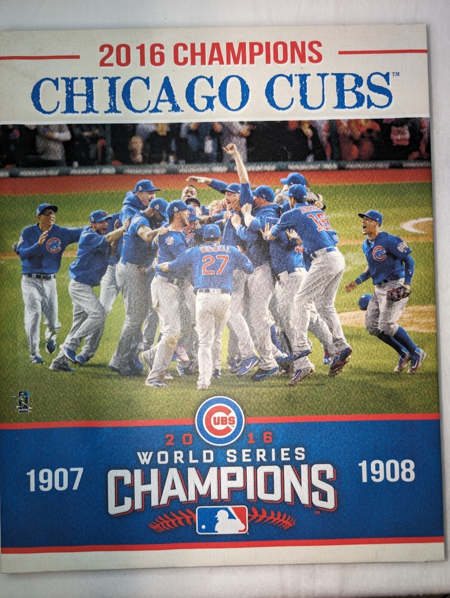 MLB  シカゴカブス　2016ワールドシリーズ優勝　写真額縁 Chicago Cubs 2016 MLB World Series Champions Framed 15